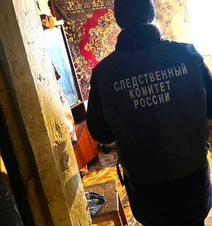 Житель Поспелихинского района предстанет перед судом по обвинению в убийстве беременной сожительницы